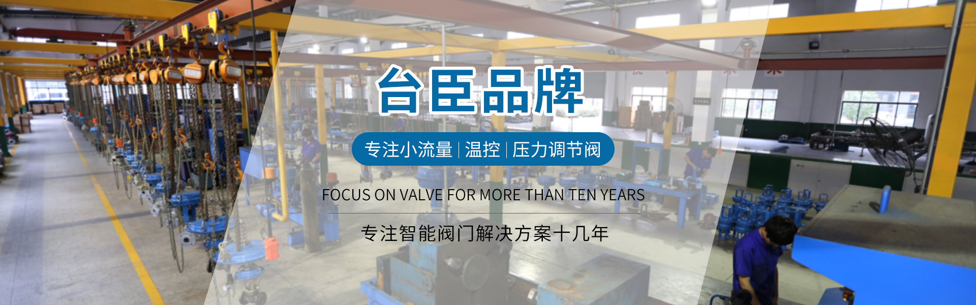 臺(tái)臣閥門-免費(fèi)拿樣、提供方案、3年質(zhì)保